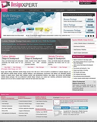 website development cost